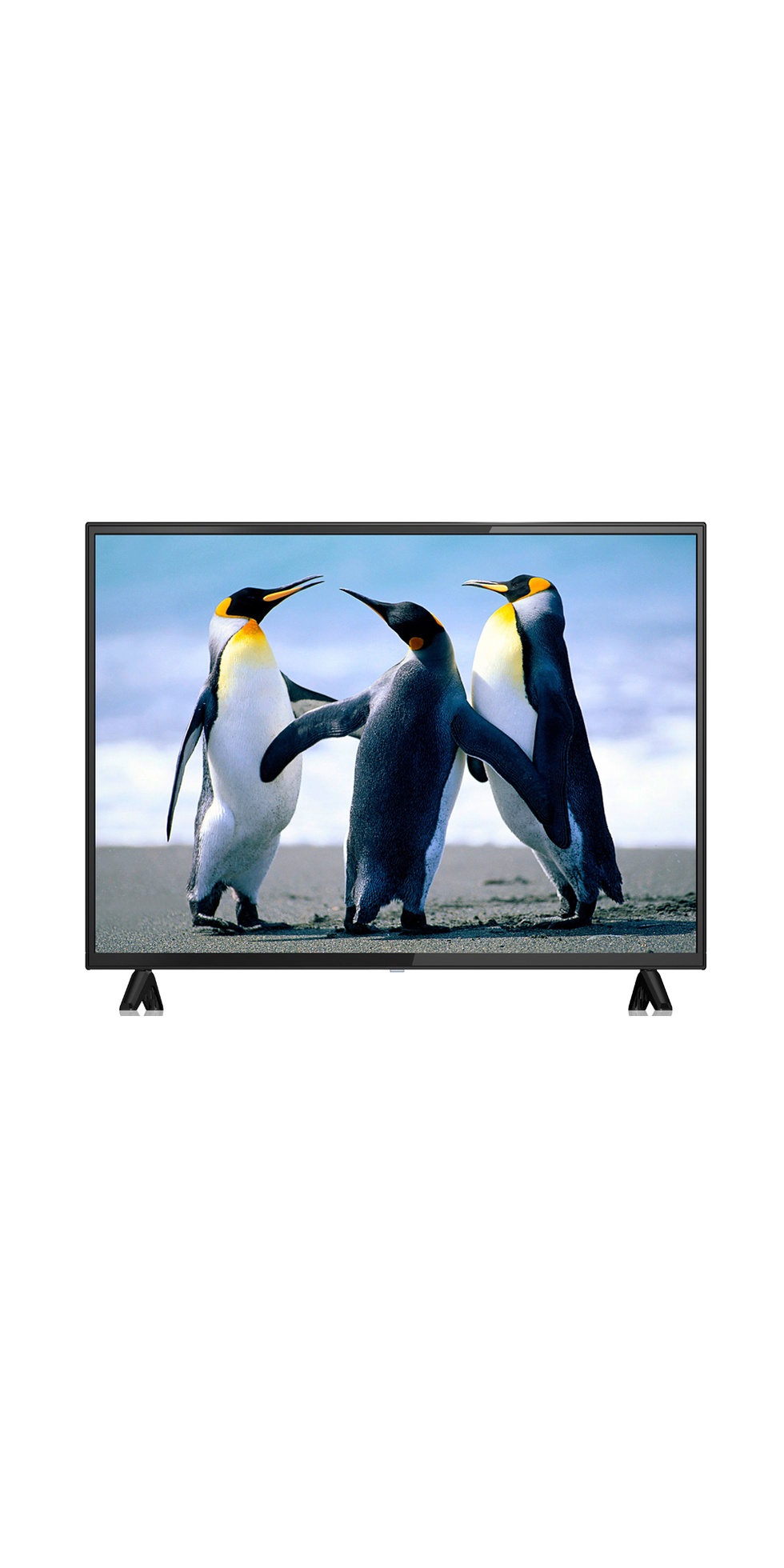 99 EKRAN UYDU ALICILI HD LED TV